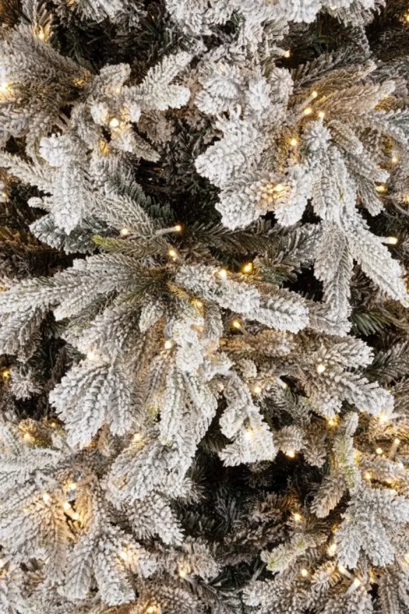 New Bizzotto ALBER BERKSHIRE INN H180-3386R 1300L