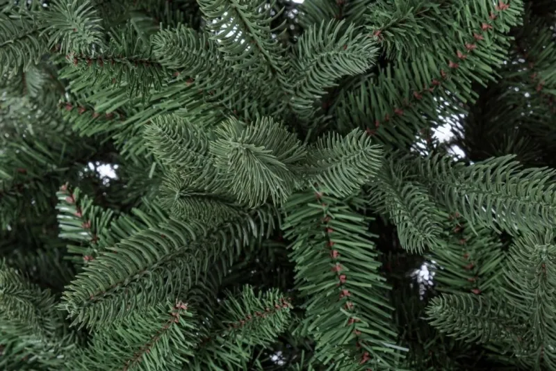 Discount Bizzotto ALBERO FREJUS H180-1623RAMI