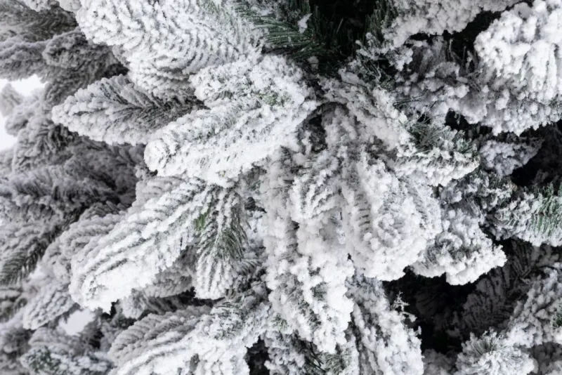 Online Bizzotto ALBERO FREJUS INNEVATO H180-1623RAMI