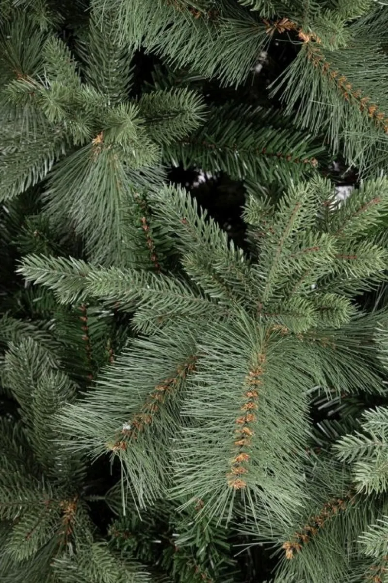 Discount Bizzotto ALBERO HUBBARD H180-1711RAMI