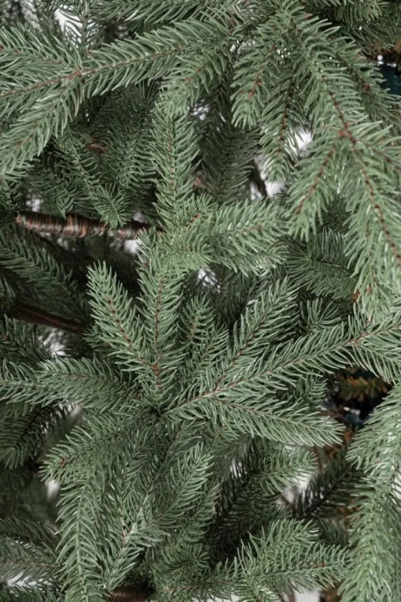 Online Bizzotto ALBERO MUIR H210-3431RAMI