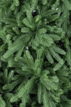 Best Bizzotto ALBERO TIROLO H180-680RAMI