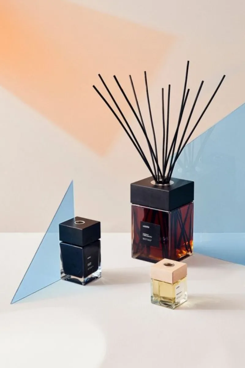 Best Bizzotto DIFFUSORE FRAGR UVA NERA MIRTILLO 500ML