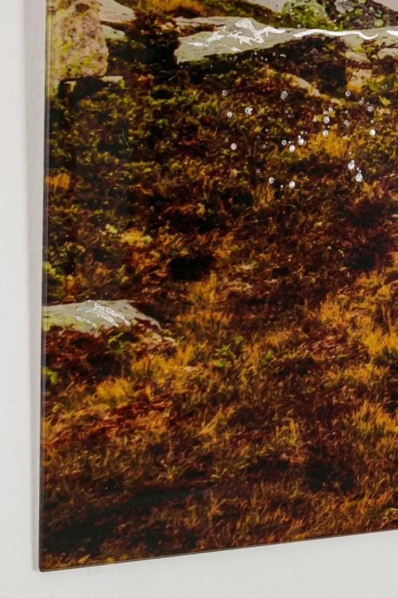 Hot Bizzotto DIPINTO PLEXY 438 120X80