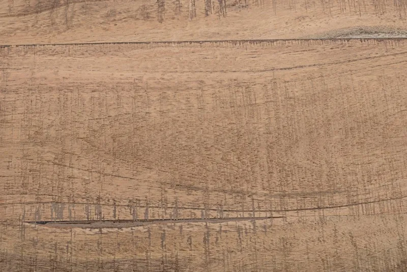 Sale Bizzotto MOBILE BAR IN LEGNO - ELMER