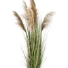 Clearance Bizzotto PIANTA AUSTORDERIA PAMPAS C-VASO H170