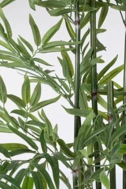 Bizzotto PIANTA BAMBOO C-VASO H150