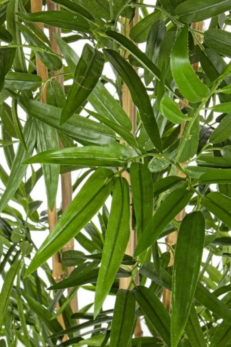 Outlet Bizzotto PIANTA BAMBOO C-VASO H185CM