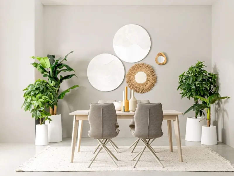 Discount Bizzotto PIANTA BANANO C-VASO 7FOGLIE H113