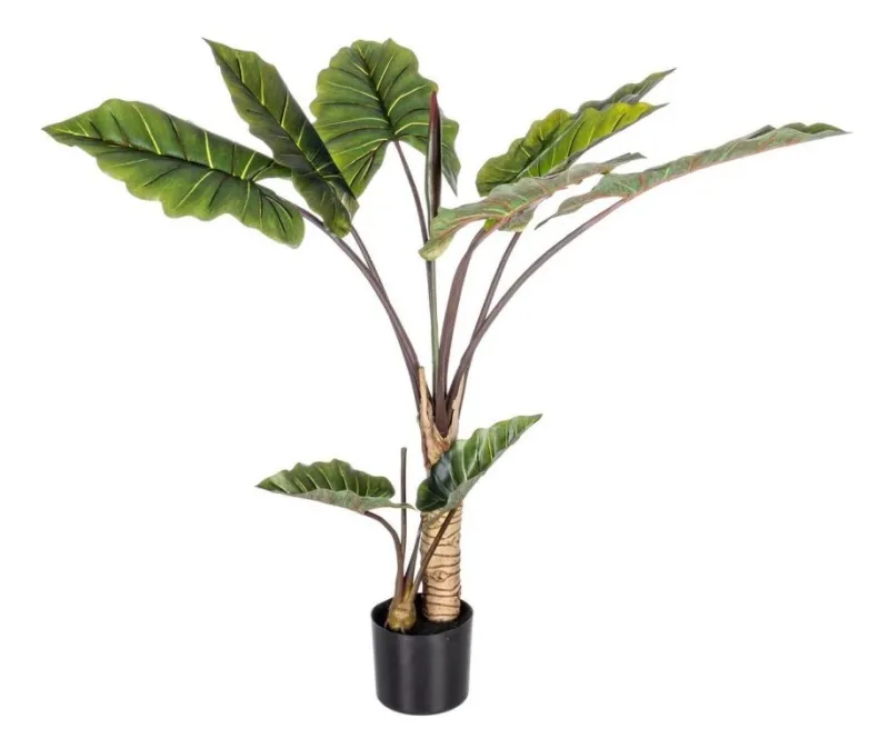 New Bizzotto PIANTA DIEFFENBACHIA C-V 10FOGLIE H134
