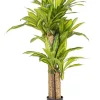 New Bizzotto PIANTA DRACAENA C-VASO H130