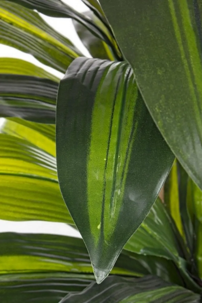 New Bizzotto PIANTA DRACANEA C-VASO 43FOGLIE H88CM