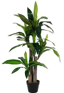 Online Bizzotto PIANTA DRACANEA C-VASO 65FOGLIE H110