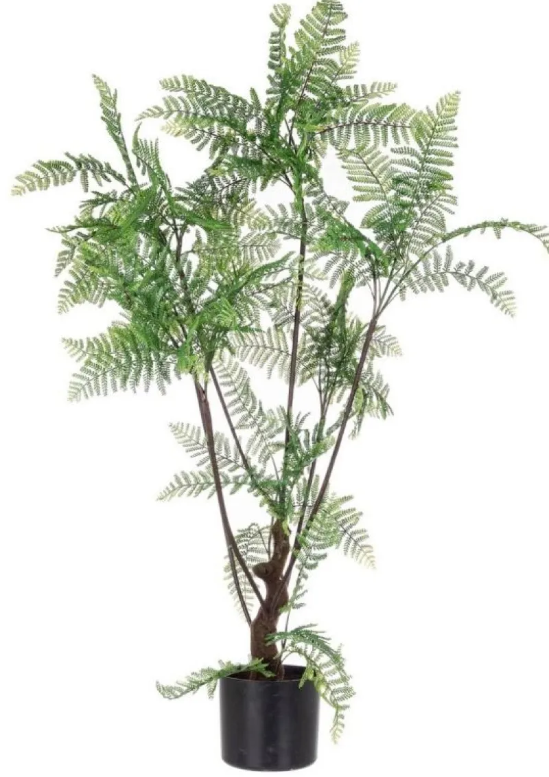 Best Bizzotto PIANTA FELCE C-VASO 75FOGLIE H108