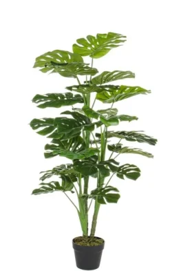 Bizzotto PIANTA FILODENDRO C-VASO 23FOGLIE H120CM