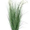 Clearance Bizzotto PIANTA GREVILLEA BIANCO C-VASO X9F H150