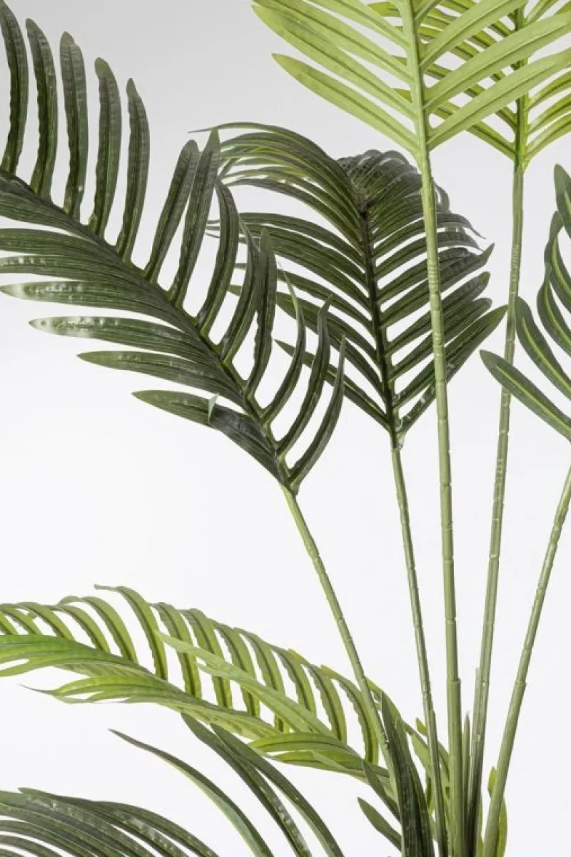 Sale Bizzotto PIANTA KENZIA C-VASO 18FOGLIE H180