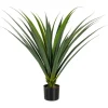 Bizzotto PIANTA RUSCACEAE C-VASO 28FOGLIE H90CM