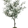 Online Bizzotto PIANTA ULIVO C-VASO 492FOGLIE H120