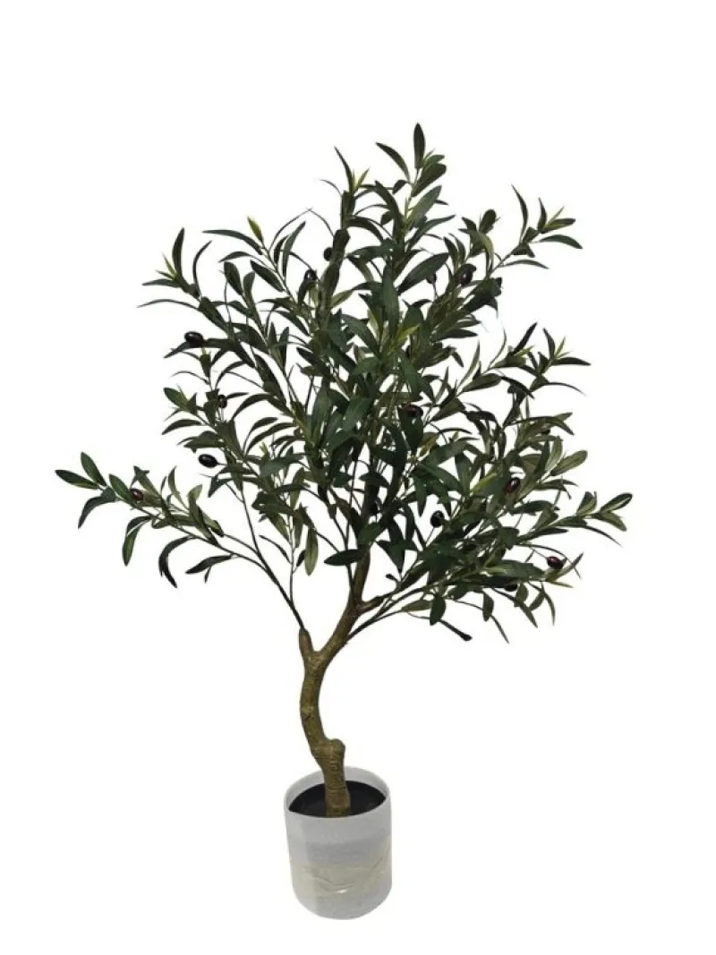 Best Bizzotto PIANTA ULIVO C-VASO H90