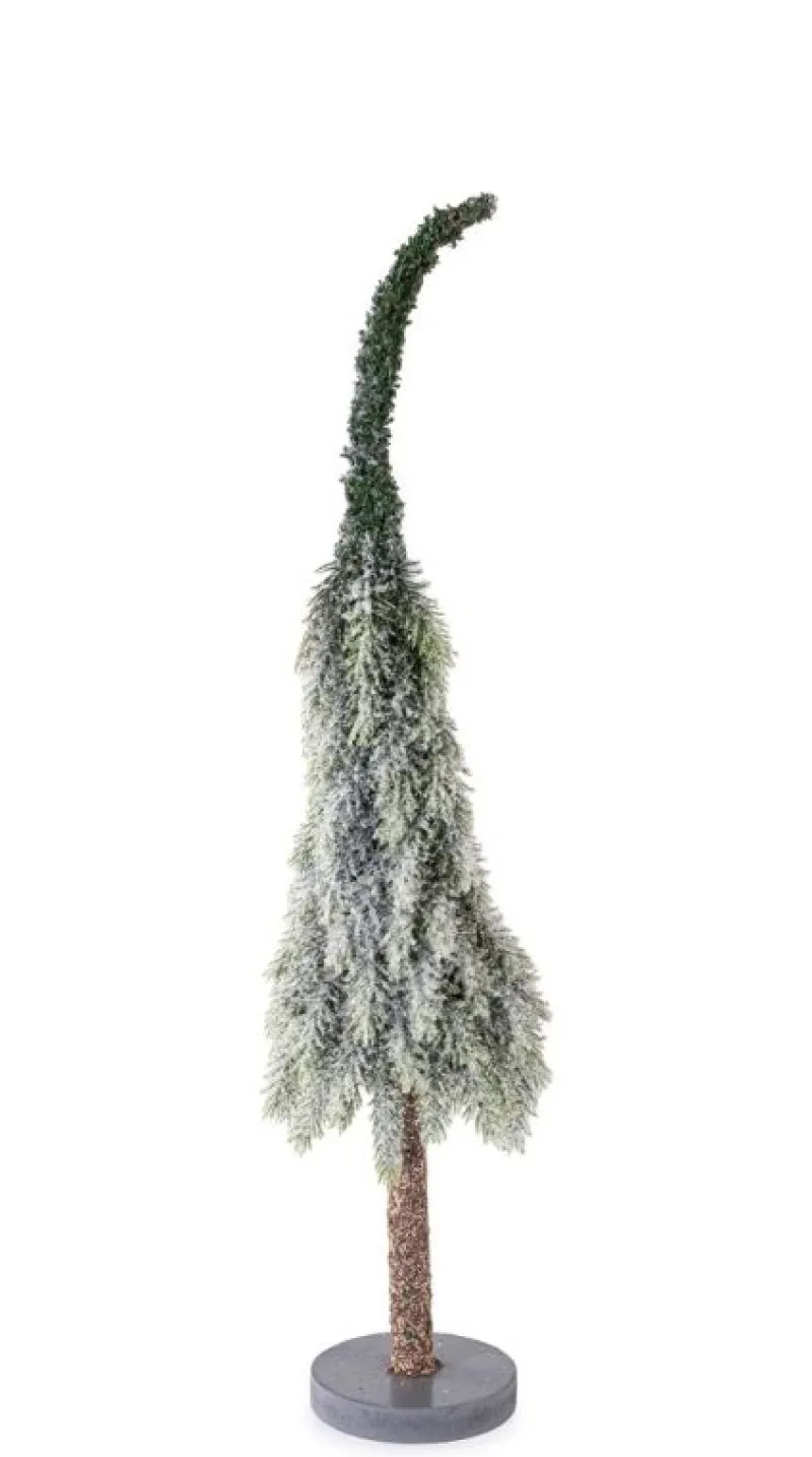 Best Bizzotto PINO MANSFIELD GHIACCIATO H50