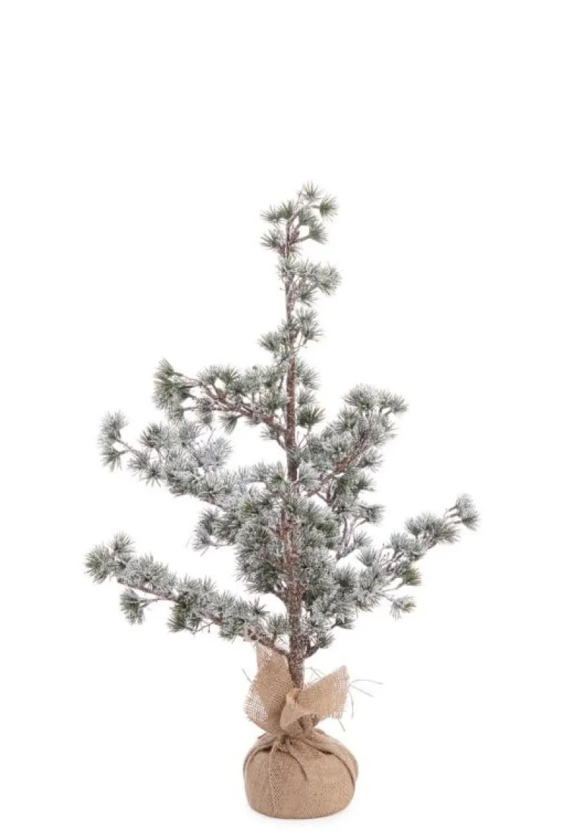 Hot Bizzotto PINO SNEFFELS GHIACCIATO H75