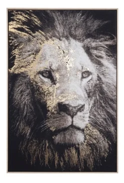 Best Bizzotto QUADRO C-C BOLD 906 82X122