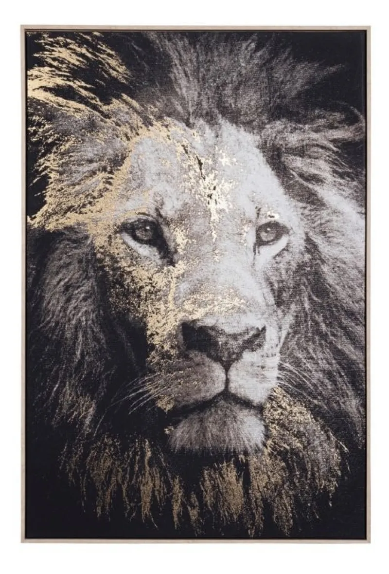 Best Bizzotto QUADRO C-C BOLD 906 82X122