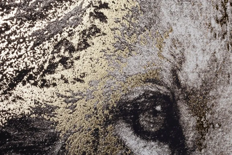 Best Bizzotto QUADRO C-C BOLD 906 82X122