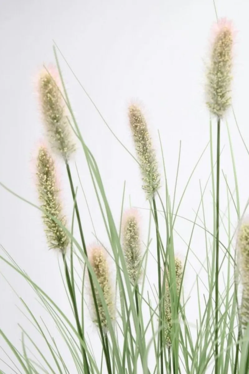 Sale Bizzotto RAMO PENNISETUM H100