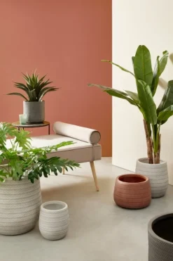 Online Bizzotto SET3 VASO TRESSAGE TO TERRACOTTA